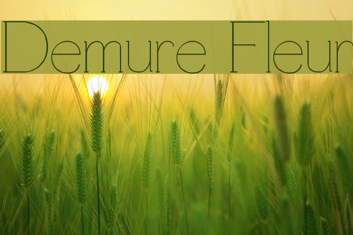 demure-fleur-font-ffonts