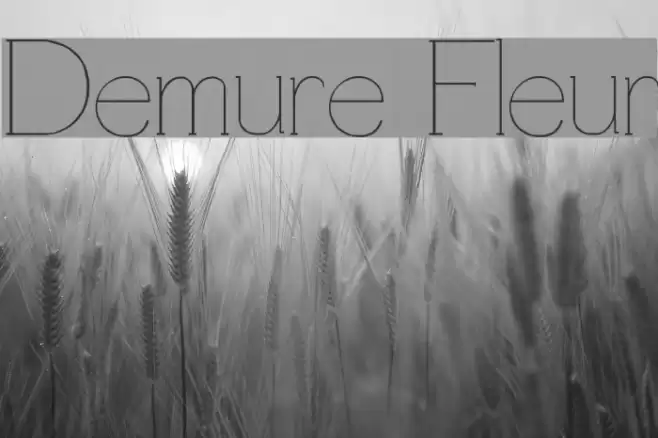 Demure Fleur Font examples