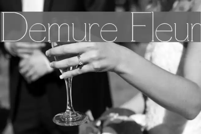 Demure Fleur Font examples