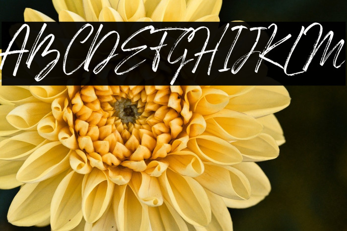 Den Basuky Example 1