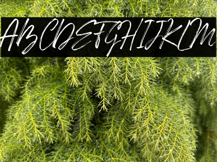 Den Basuky Example 3