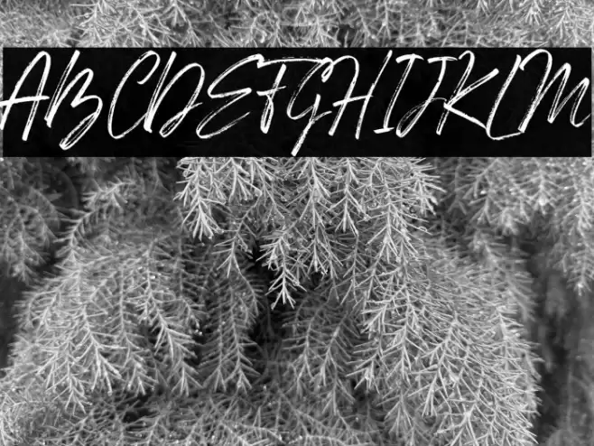 Den Basuky Font examples