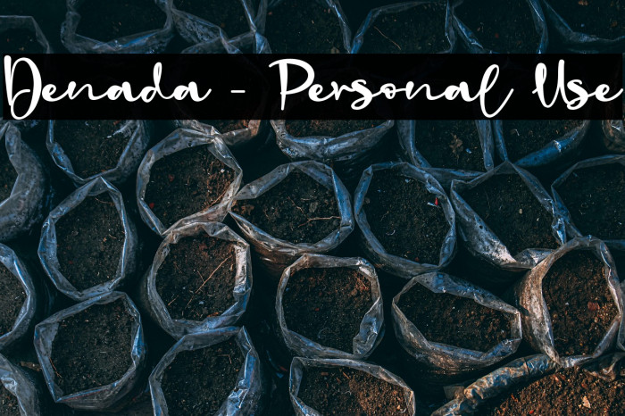 Denada - Personal Use Example 1