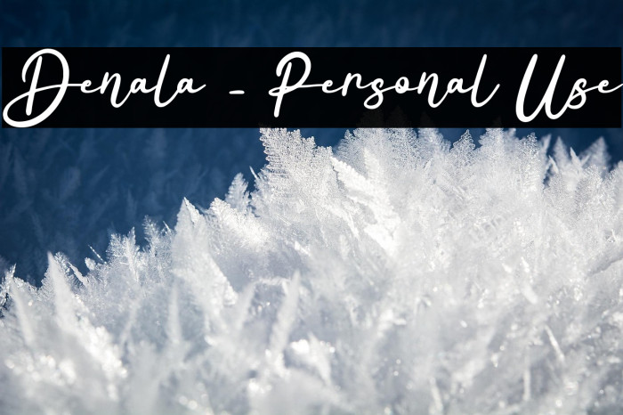 Denala - Personal Use Example 1