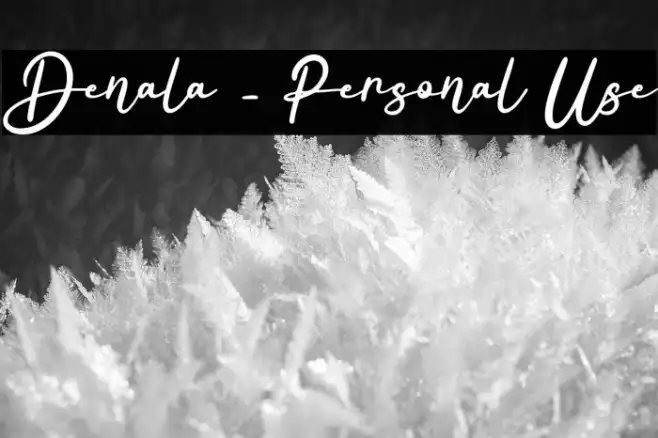 Denala - Personal Use Example 1