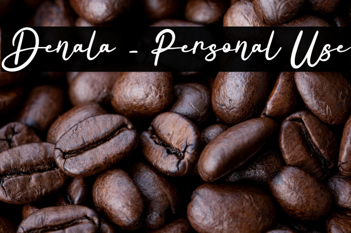 Denala - Personal Use Example 2