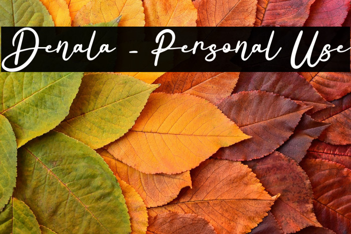 Denala - Personal Use Example 3