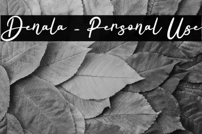 Denala - Personal Use Example 3