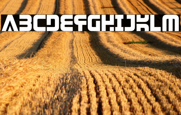 DendriticVoltage-Regular Example 1