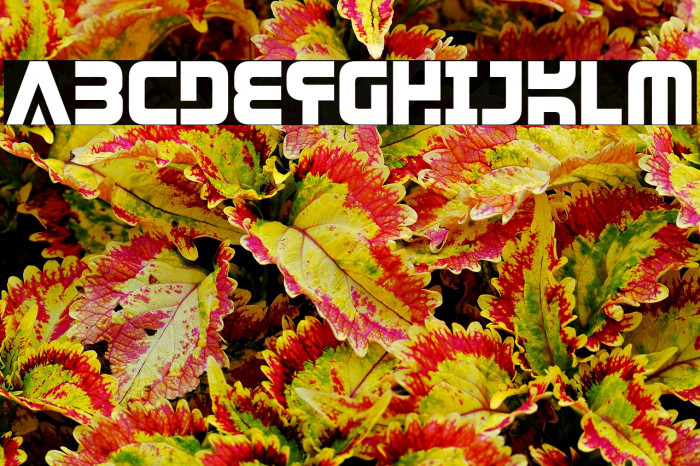 DendriticVoltage-Regular Example 2