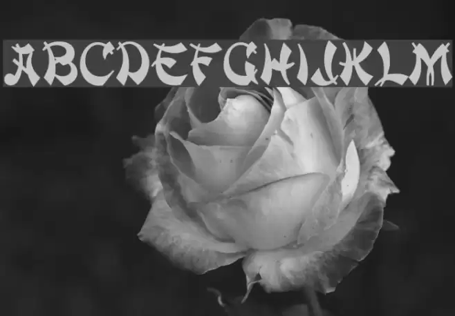 Deng Thick Font examples
