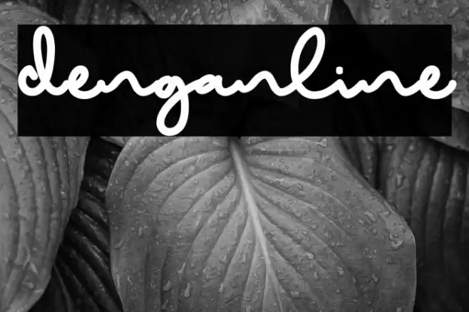Denganline Font examples