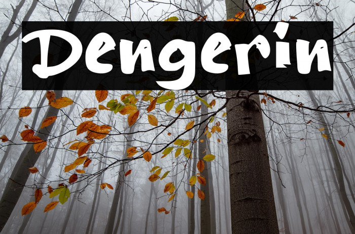 Dengerin Example 2