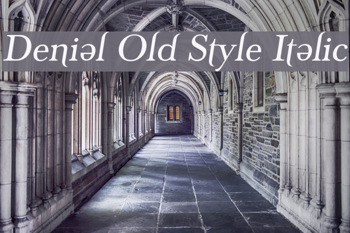 Denial Old Style Italic Font examples