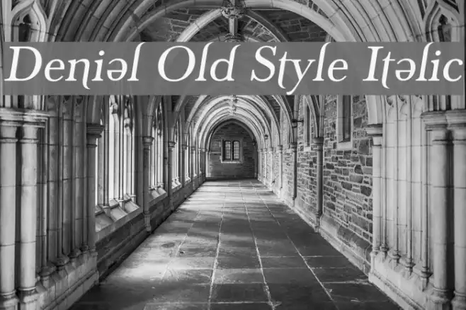 Denial Old Style Italic Example 2