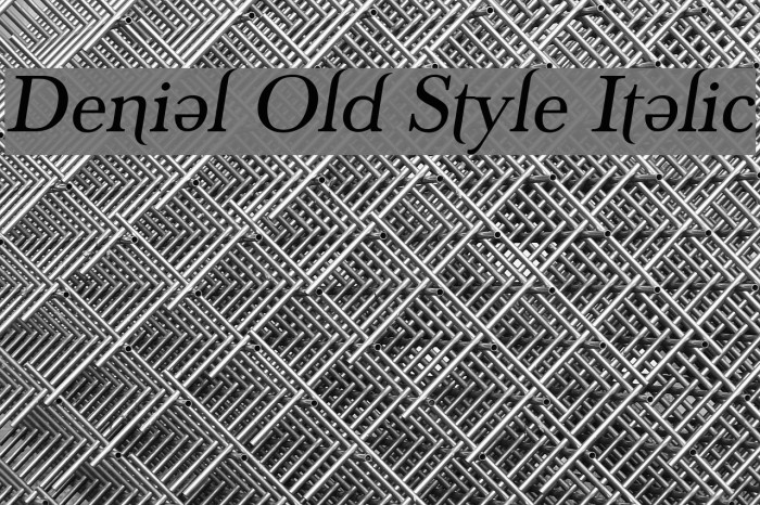 Denial Old Style Italic Font examples