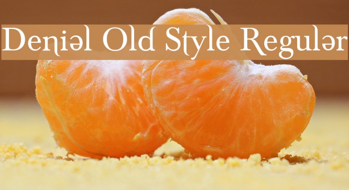 Denial Old Style Regular Font examples