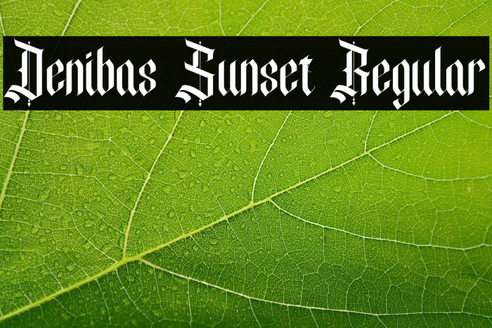 Denibas Sunset Regular Example 2