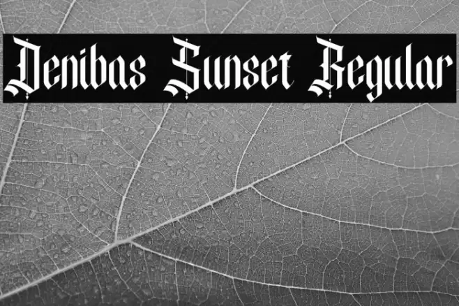 Denibas Sunset Regular Font examples