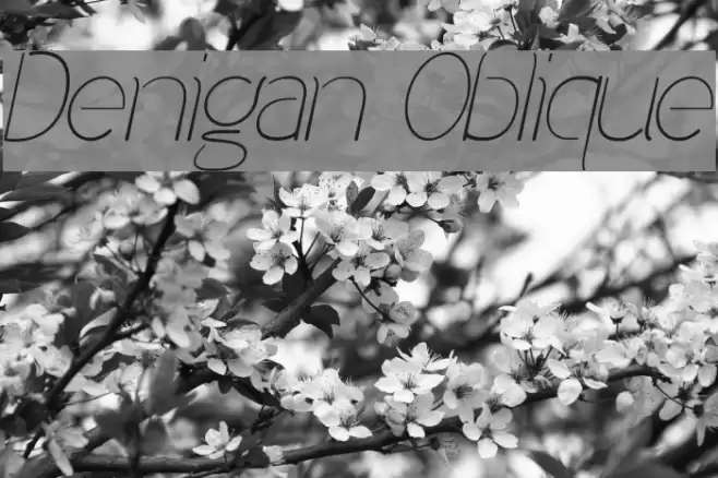 Denigan Oblique  examples