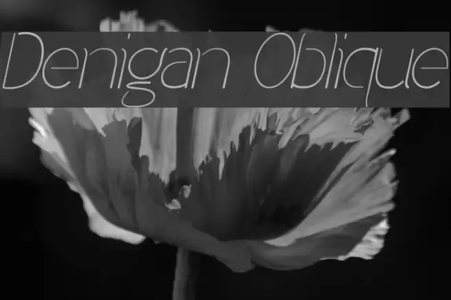 Denigan Oblique  examples
