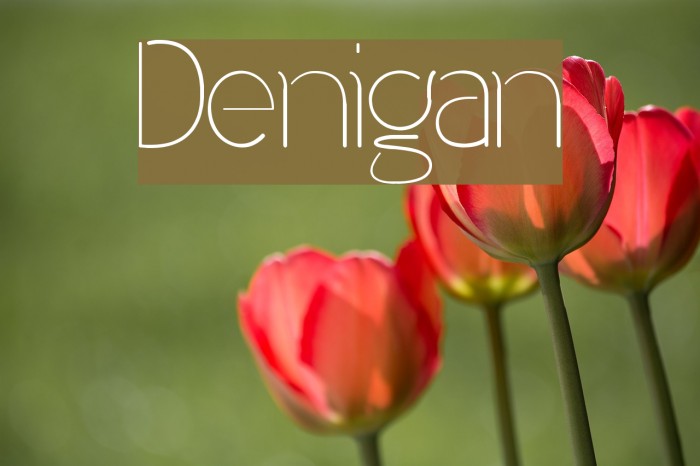 Denigan Font examples