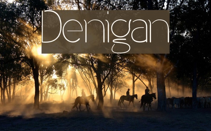 Denigan Font examples