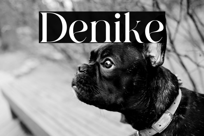Denike Example 1