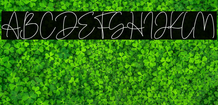 Denira Signature Example 1