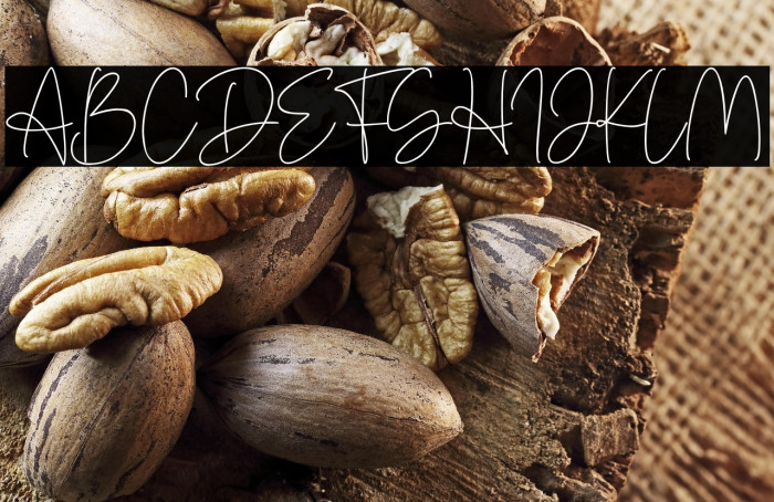 Denira Signature Example 2