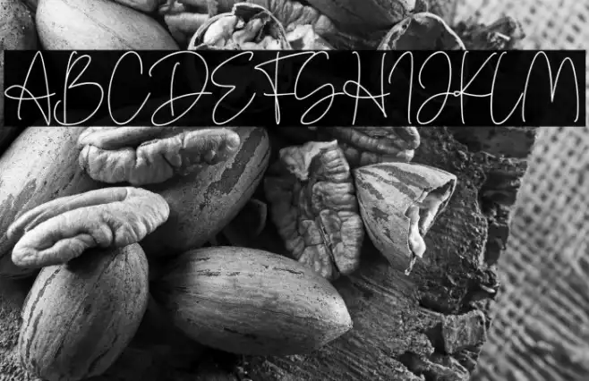 Denira Signature Example 2