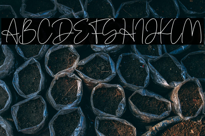 Denira Signature Example 3