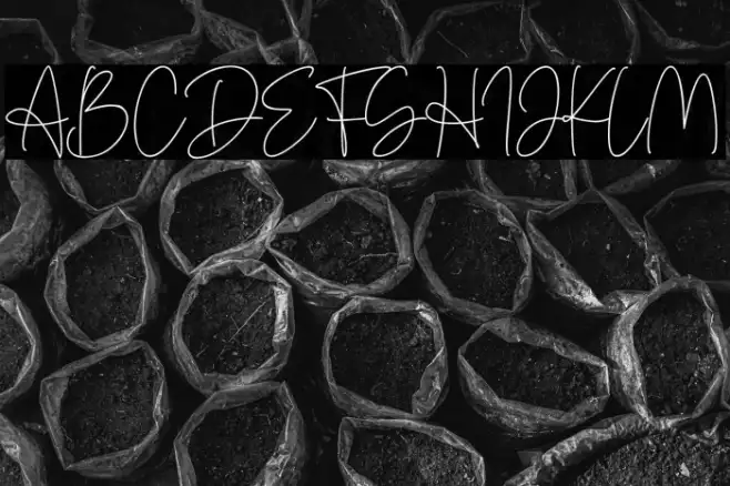 Denira Signature Example 3