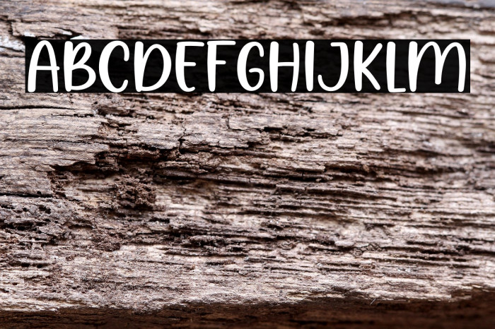 Denisa Crishtine Example 2