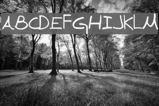 Denise Sans フォント examples