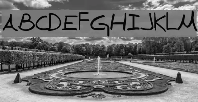 Denise Sans フォント examples