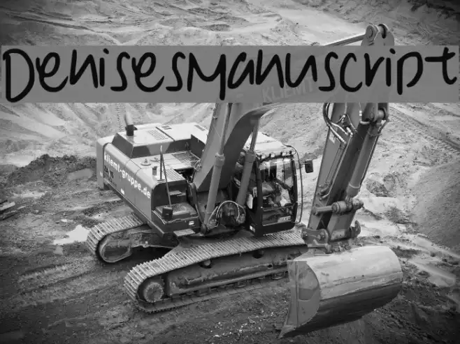 Denise__s_Manuscript Example 1