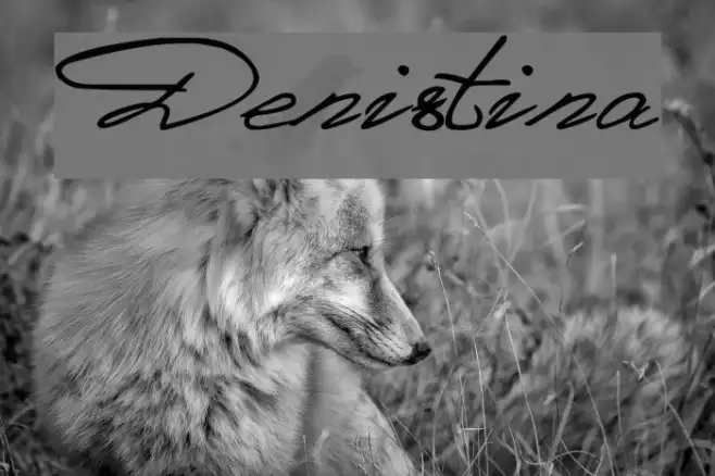 Denistina Example 1