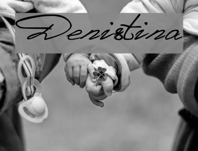 Denistina Example 2