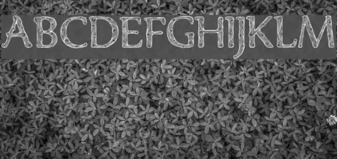 Denka Demo خط examples