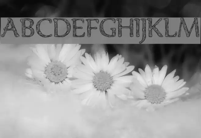 Denka Demo خط examples