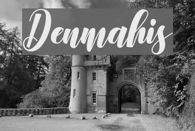 Denmahis Example 1