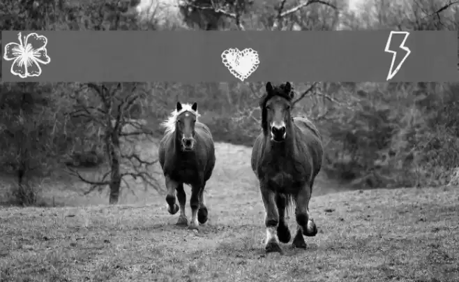 Denne | Pretty Shit Font examples