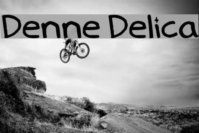 Denne Delica Example 2