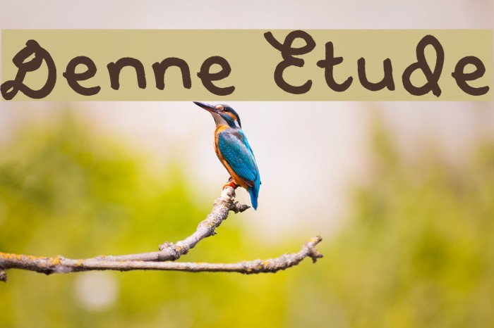 Denne Etude Font examples