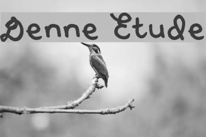 Denne Etude Example 1