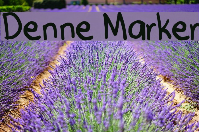 Denne Marker Font examples
