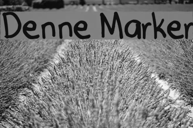 Denne Marker Font examples