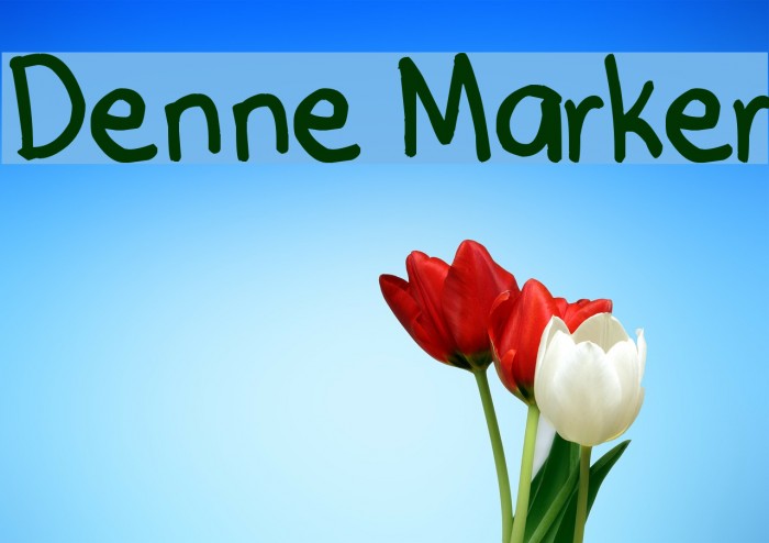Denne Marker Font examples