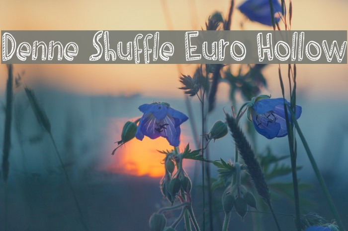 Denne Shuffle Euro Hollow Font examples